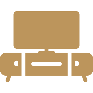 Flat-Screen Television